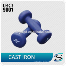 High quality iron plastic dumbbell